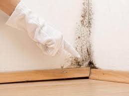 Trusted Cherry Valley, IL Mold Prevention & Removal  Experts